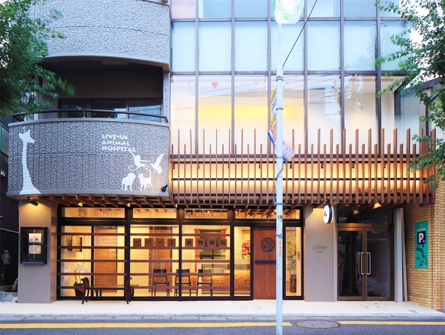 リバーズ動物病院
