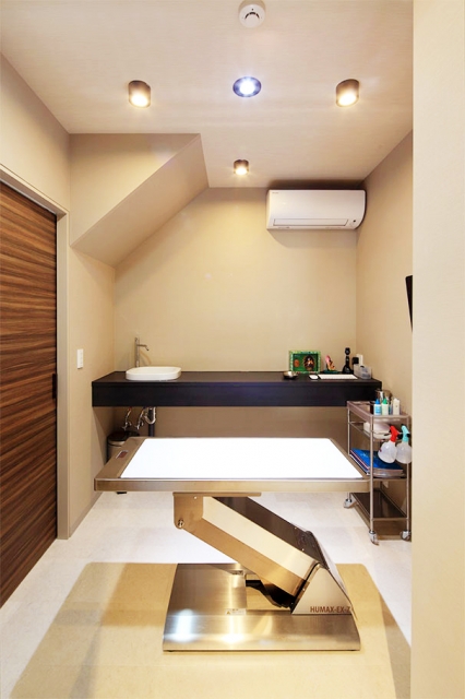 リバーズ動物病院