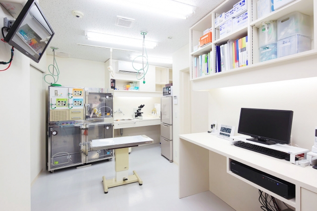 リバーズ動物病院