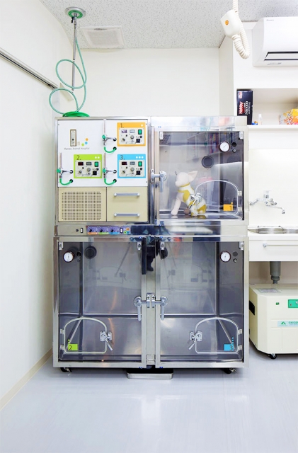 リバーズ動物病院