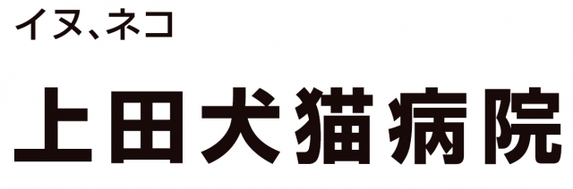 上田犬猫病院