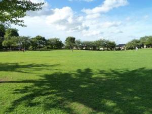 鷹の台公園 （庭球場他）