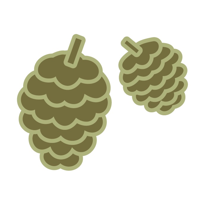 こまつ皮フ科クリニック