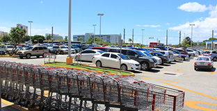 株式会社タマパーク