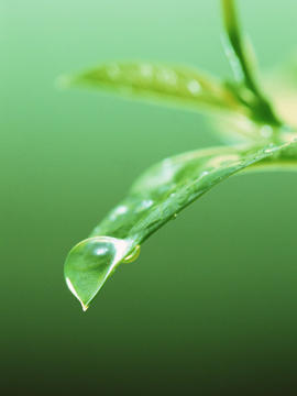 株式会社三輝 中間処理場