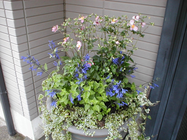 株式会社翆豊園