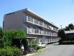 有限会社誠政企画