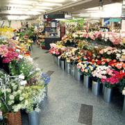 株式会社岡本造花店 愛知県名古屋市中区 花 E Navita イーナビタ 駅周辺 街のスポット情報検索サイト