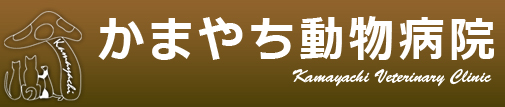 かまやち動物病院