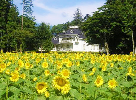 株式会社那須ビジョン
