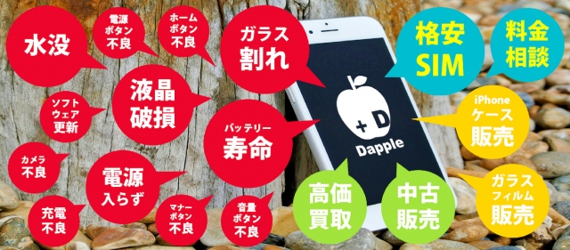 Dapple 豊田店