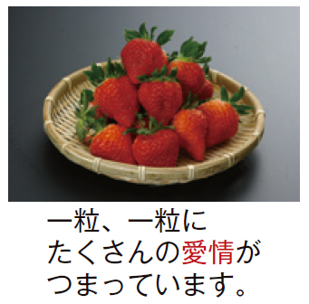 斎藤いちご農園