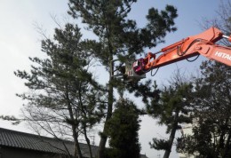 有限会社岡本環境造園