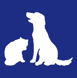 株式会社　英知建物