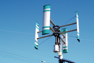 ひまわりランド