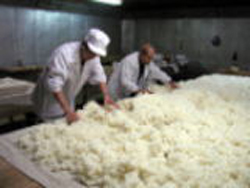 旭日酒造有限会社