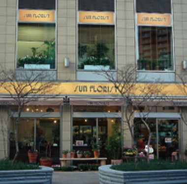 サンフロ-リスト