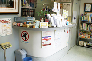 バディ動物病院