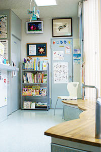 バディ動物病院