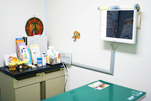 バディ動物病院