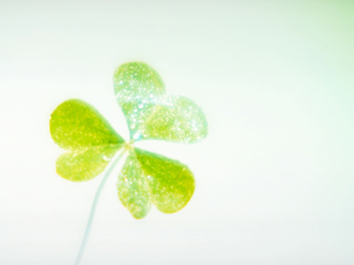 池田クリニック