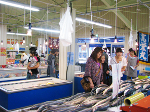 根室海鮮市場カネカイチ鈴木商店