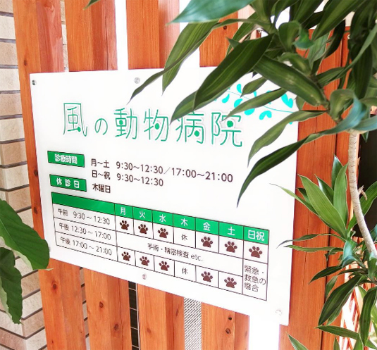 風の動物病院