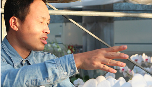 スマイルオーキッド