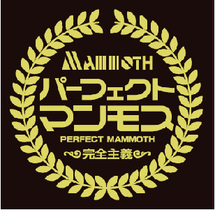 パーフェクトマンモス高陽店