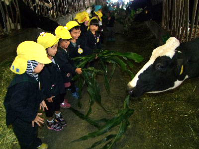 美濃ふたば幼稚園