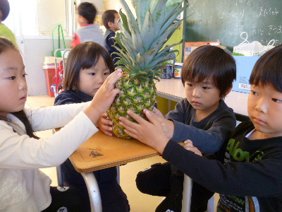 美濃ふたば幼稚園