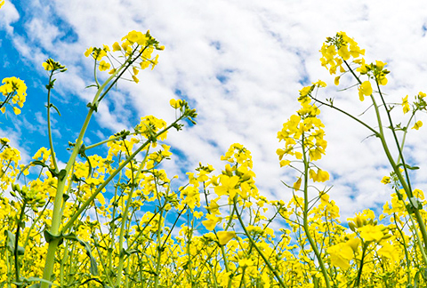 株式会社飛鳥典禮