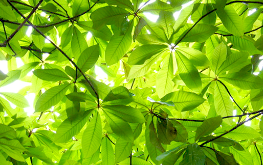 株式会社飛鳥典禮