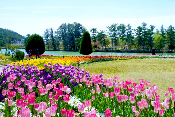 株式会社花園グリーンサービス