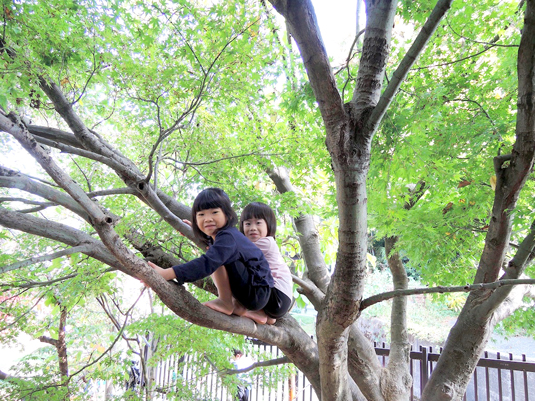 幼保連携型認定こども園 石動青葉保育園