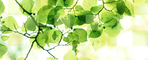 株式会社知立造園