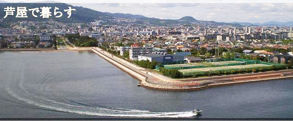 有限会社ティーワイ商事