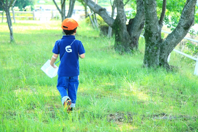 児童発達支援・放課後等デイサービスすみれ