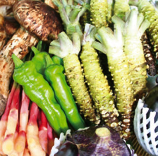 つまもの・促成野菜 山伝