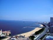 （株）セイワ地研