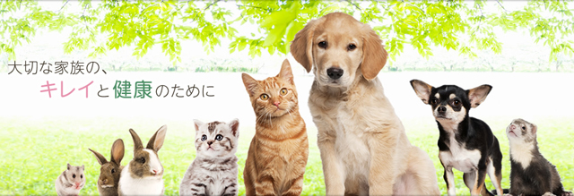 かしわだい動物病院