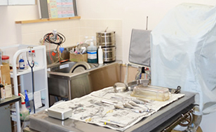 かしわだい動物病院