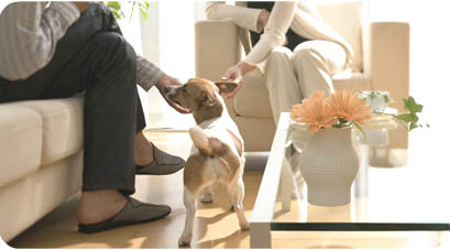 有限会社協和開発企業