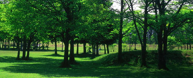 有限会社中川自動車