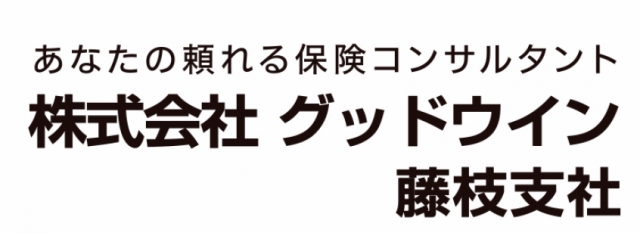 株式会社グッドウイン