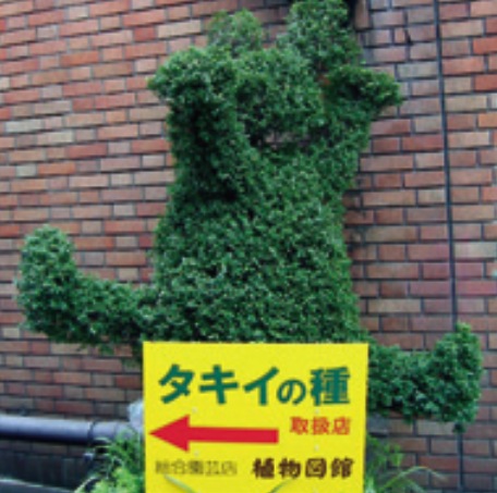 植物図館