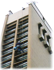 日本海ビューティ株式会社