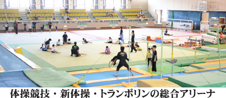 NPO総合体操クラブ