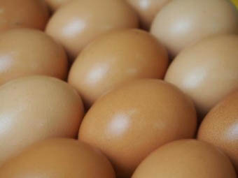 菓子庵石川 本店