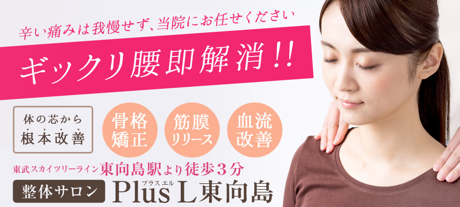 整体サロンPlusL 東向島